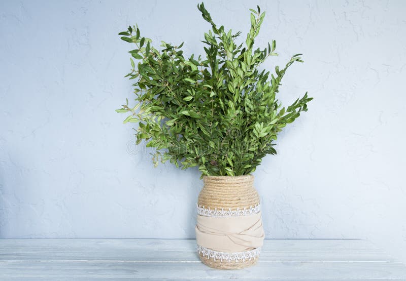 Vase with green plants boxwood flowers. On wooden background. Vase with green plants boxwood flowers. On wooden royalty free stock images