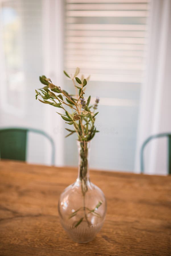 Vase with olive branch stock image. Image of desk, domestic 254906507