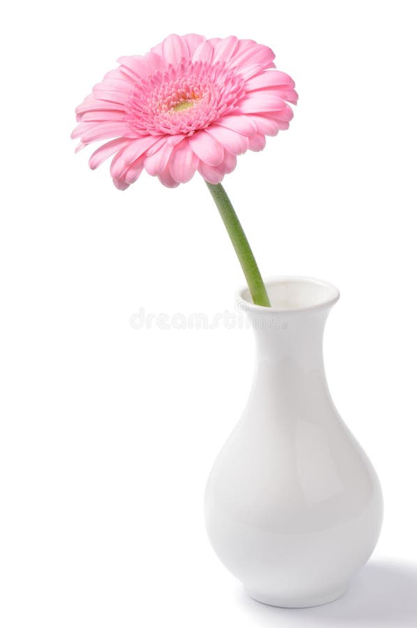 Vase with pink chrysanthemum stock photography Vase with pink chrysanthemum stock photography