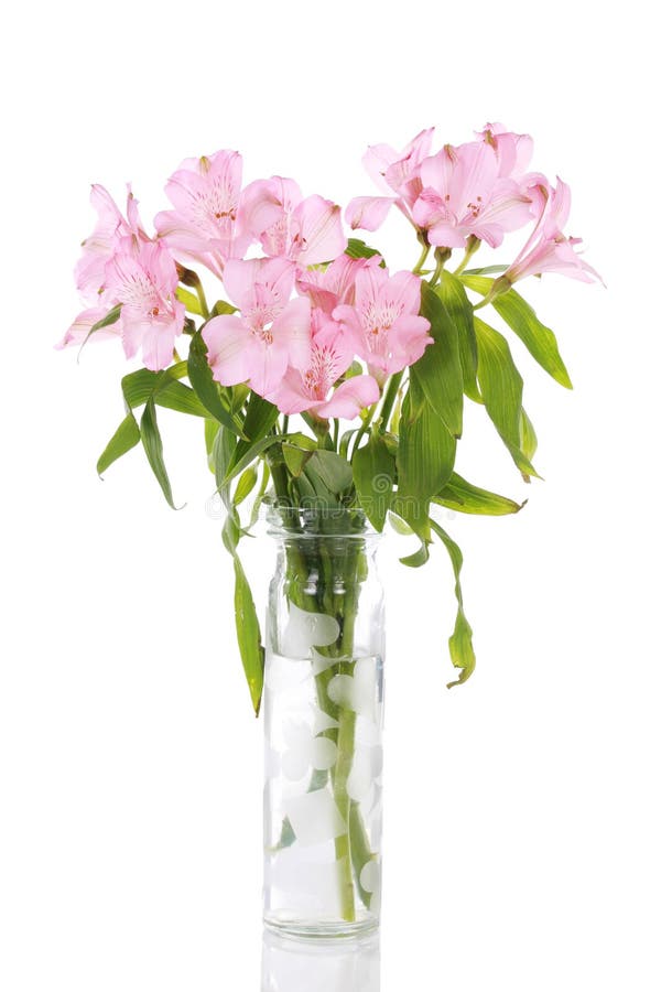 Vase of pink lilies stock image. Image of leaves, lilies 29253073