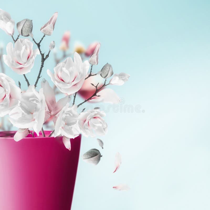 Vase with pretty spring blossom bunch of magnolia and falling petals at light blue background, close up . Flowers arrangement.
