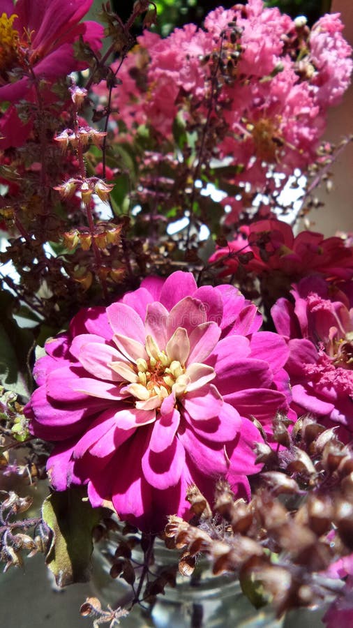 Vase rosa Blumen vom Hausgarten
