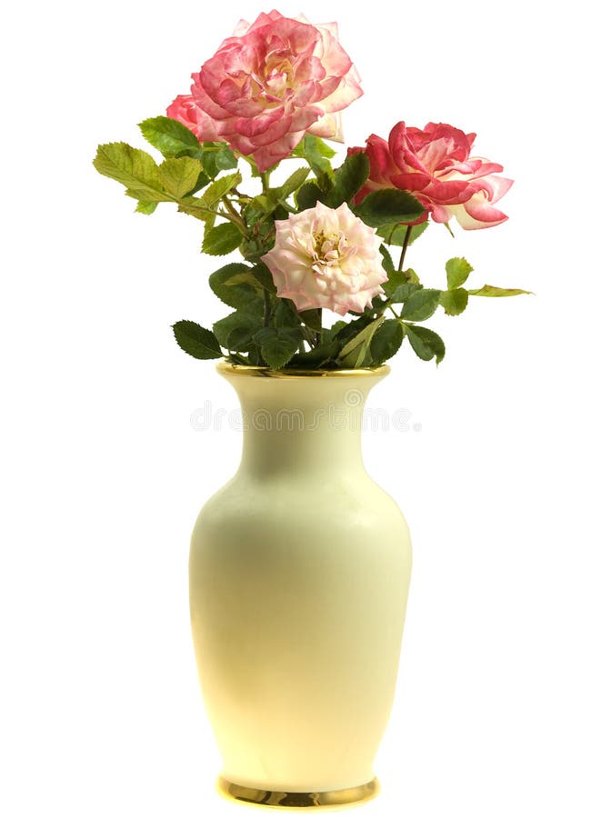 204,101 Flowers Vase Stock Photos - Free & Royalty-Free Stock Photos From  Dreamstime
