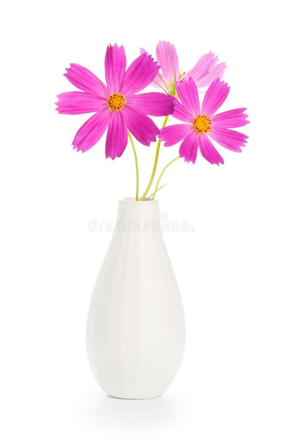 vase λουλουδιών στοκ εικόνα με δικαίωμα ελεύθερης χρήσης vase λουλουδιών στοκ εικόνα με δικαίωμα ελεύθερης χρήσης