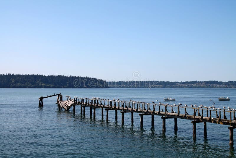 Vashon Island