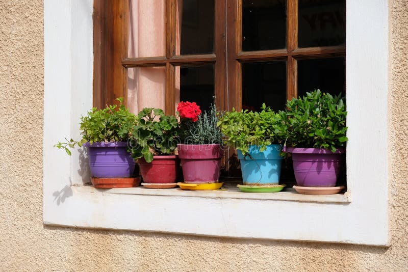 Vasi da fiori Colourful sul davanzale della finestra, Galaxidi, Grecia fotografie stock libere da diritti Vasi da fiori Colourful sul davanzale della finestra, Galaxidi, Grecia fotografie stock libere da diritti