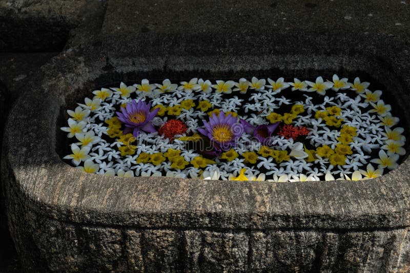 Vaso dei fiori in un centro di ayurveda nello Sri Lanka, Asia