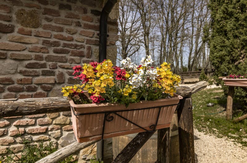 Vaso della piantatrice che pende da un recinto con i fiori rossi, bianchi e gialli fotografie stock Vaso della piantatrice che pende da un recinto con i fiori rossi, bianchi e gialli fotografie stock