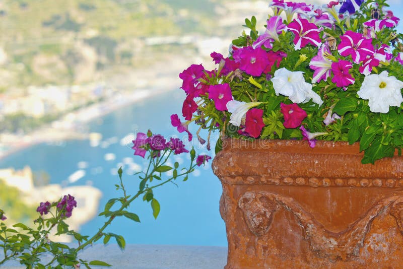 Vaso di fiore e vista della costa di Amalfi immagini stock libere da diritti Vaso di fiore e vista della costa di Amalfi immagini stock libere da diritti
