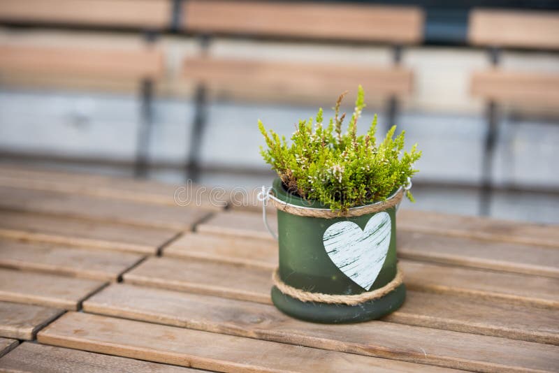 Vaso verde con il fiore e cuore sulla tavola in un caffè fotografia stock libera da diritti Vaso verde con il fiore e cuore sulla tavola in un caffè fotografia stock libera da diritti