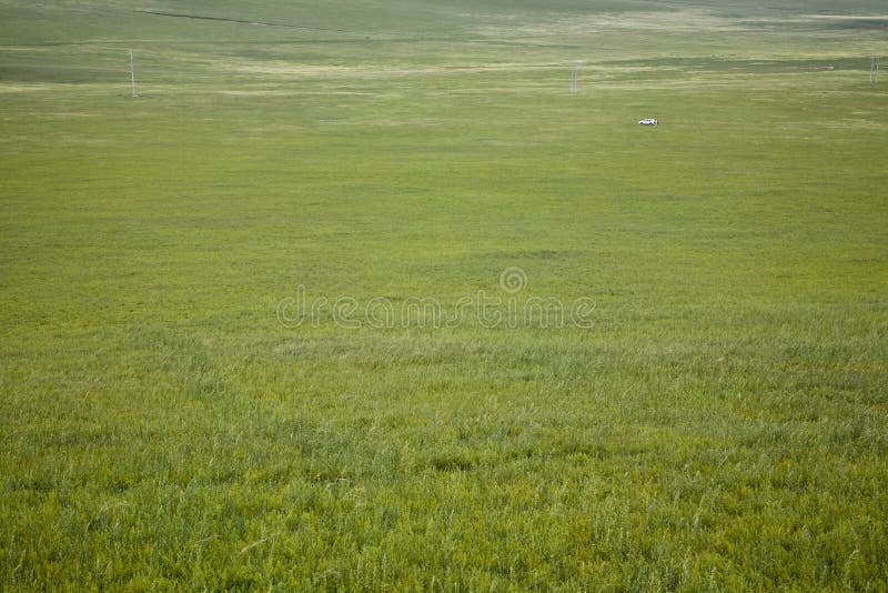 Vast grassland stock photo. Image of grassland, summer - 6943392