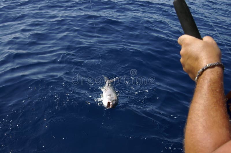 Fisherman fighting with hooked fish in mediterranean sea. Fisherman fighting with hooked fish in mediterranean sea