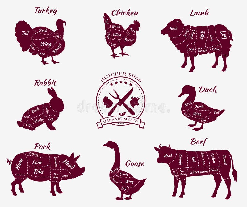 Vastgestelde Schematische Mening van Dieren voor Slager Shop stock illustratie Vastgestelde Schematische Mening van Dieren voor Slager Shop stock illustratie