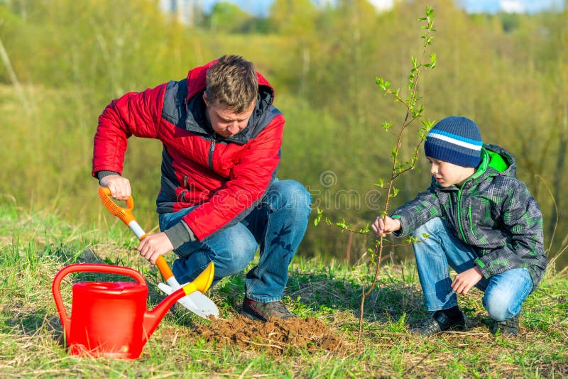 Vater und Sohn Schuljunge im Frühling Pflanzen ein Baum schießen im Park Konzept Familie helfen stockbilder
