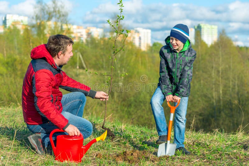 Vater und Sohn Schuljunge im Frühling Pflanzen ein Baum schießen im Park Konzept Familie helfen stockbilder