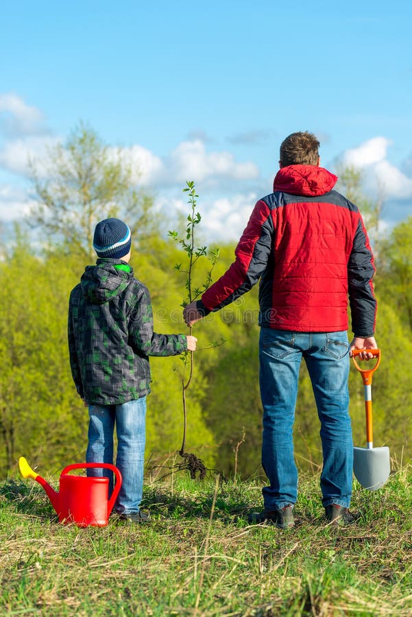 Vater und Sohn Schuljunge im Frühjahr pflanzen ein Baum schießen in der Park-Konzept Familie helfen lizenzfreies stockfoto