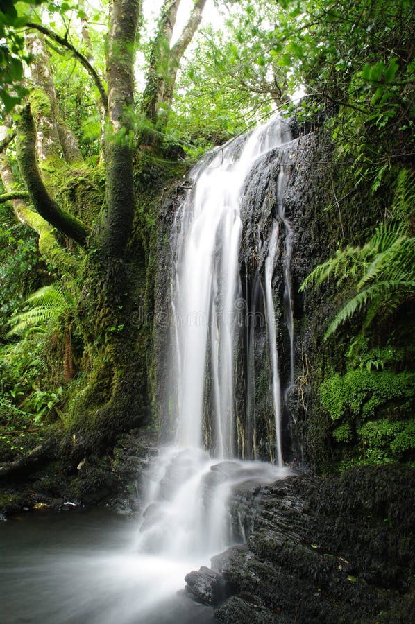Vattenfall västra Cork Ireland fotografering för bildbyråer Vattenfall västra Cork Ireland fotografering för bildbyråer