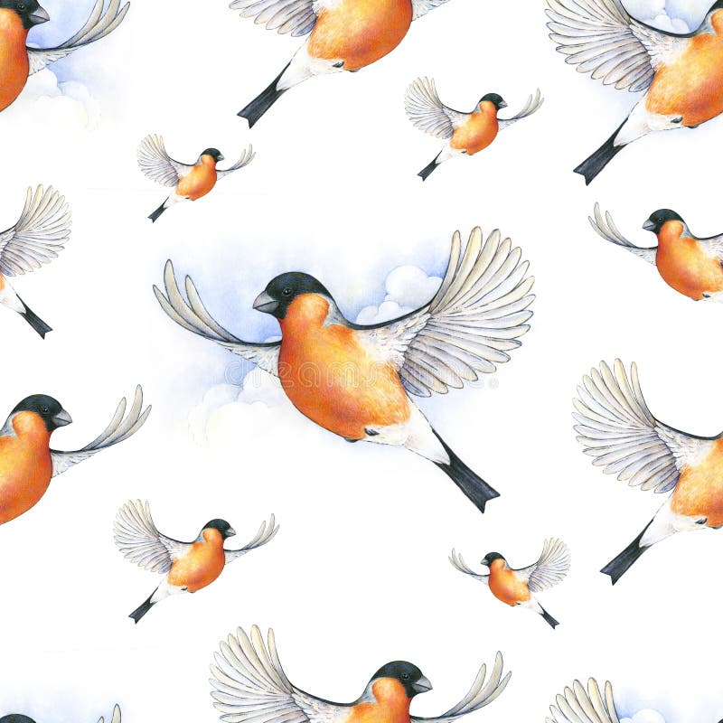 Vattenfärgdomherre Härlig vinterfågel med grå och rosaaktig fjäderdräkt som skjuta i höjden i moln royaltyfri illustrationer