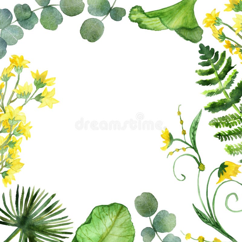 Vattenfärgen ställde in av tropiska filialer och sidor med gula blommor som isolerades på vit bakgrund royaltyfri illustrationer Vattenfärgen ställde in av tropiska filialer och sidor med gula blommor som isolerades på vit bakgrund royaltyfri illustrationer