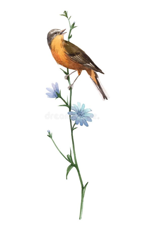 Vattenfärgfågel på blomman stock illustrationer Vattenfärgfågel på blomman stock illustrationer