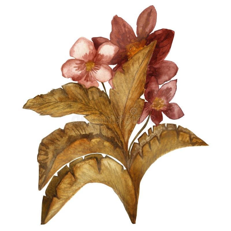 Vattenfärghanden målade modellen av gula och orange sidor för hösten med Bourgogneblommor som isolerades på vit bakgrund royaltyfri illustrationer Vattenfärghanden målade modellen av gula och orange sidor för hösten med Bourgogneblommor som isolerades på vit bakgrund royaltyfri illustrationer