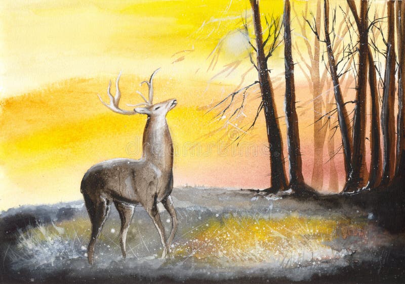 Vattenfärghjortar i skog royaltyfri illustrationer Vattenfärghjortar i skog royaltyfri illustrationer