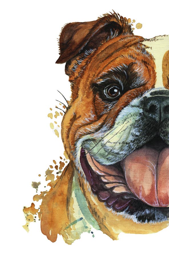 Vattenfärgprintshopen, tryck på temat av aveln av hundkapplöpning, däggdjur, djur, föder upp den engelska bulldoggen, bulldoggen, vektor illustrationer Vattenfärgprintshopen, tryck på temat av aveln av hundkapplöpning, däggdjur, djur, föder upp den engelska bulldoggen, bulldoggen, vektor illustrationer