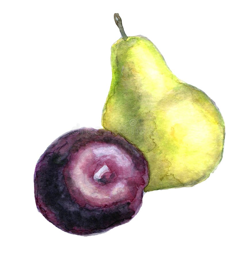 Vattenfärgpäron och plommon stock illustrationer Vattenfärgpäron och plommon stock illustrationer