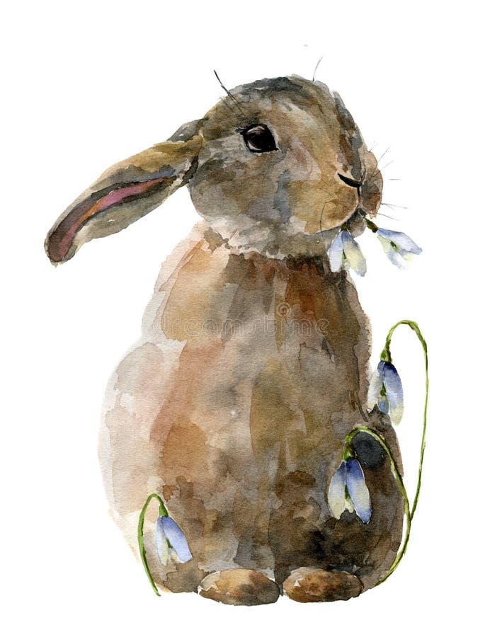 Vattenfärgpåskkanin med snödroppar Räcka det målade kortet med traditionella symboler som isoleras på vit bakgrund gulligt royaltyfri illustrationer