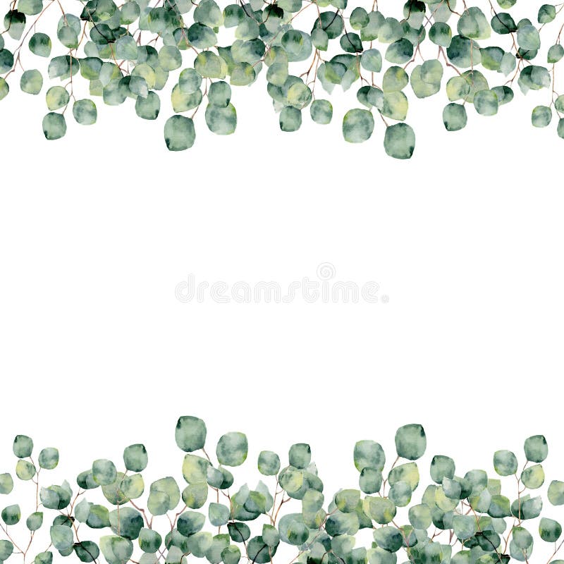 Vattenfärgram med eukalyptussilverdollaren botanisk design stock illustrationer Vattenfärgram med eukalyptussilverdollaren botanisk design stock illustrationer