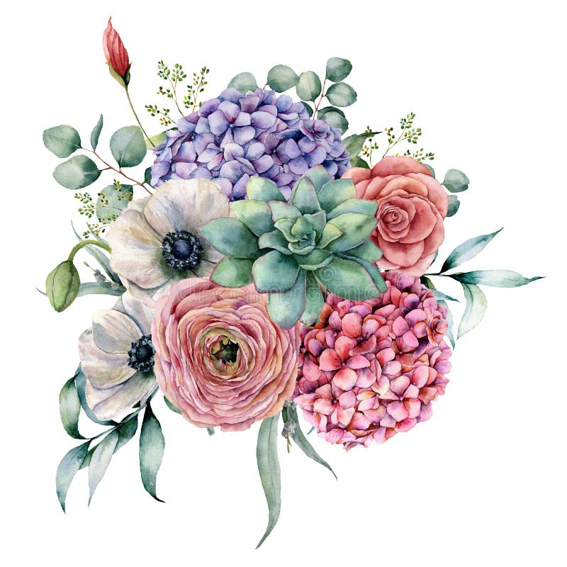 Vattenfärgsuckulent- och vanlig hortensiabukett Handen målade den rosa och violetta blommor, kakturs, anemonen och ranunculusen m stock illustrationer