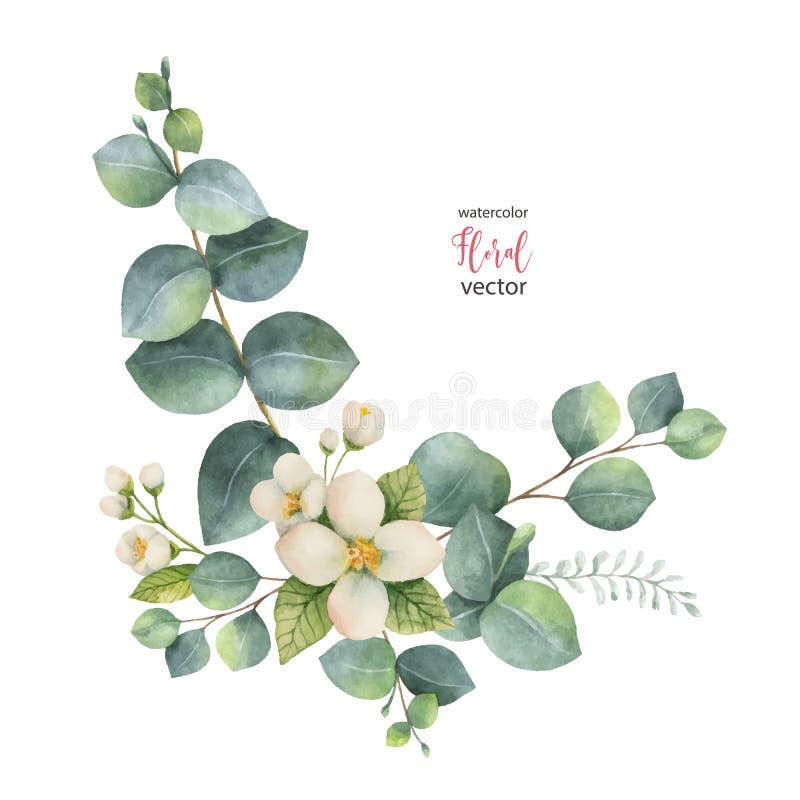 Vattenfärgvektorkrans med gröna den eukalyptussidor och jasmin royaltyfri illustrationer