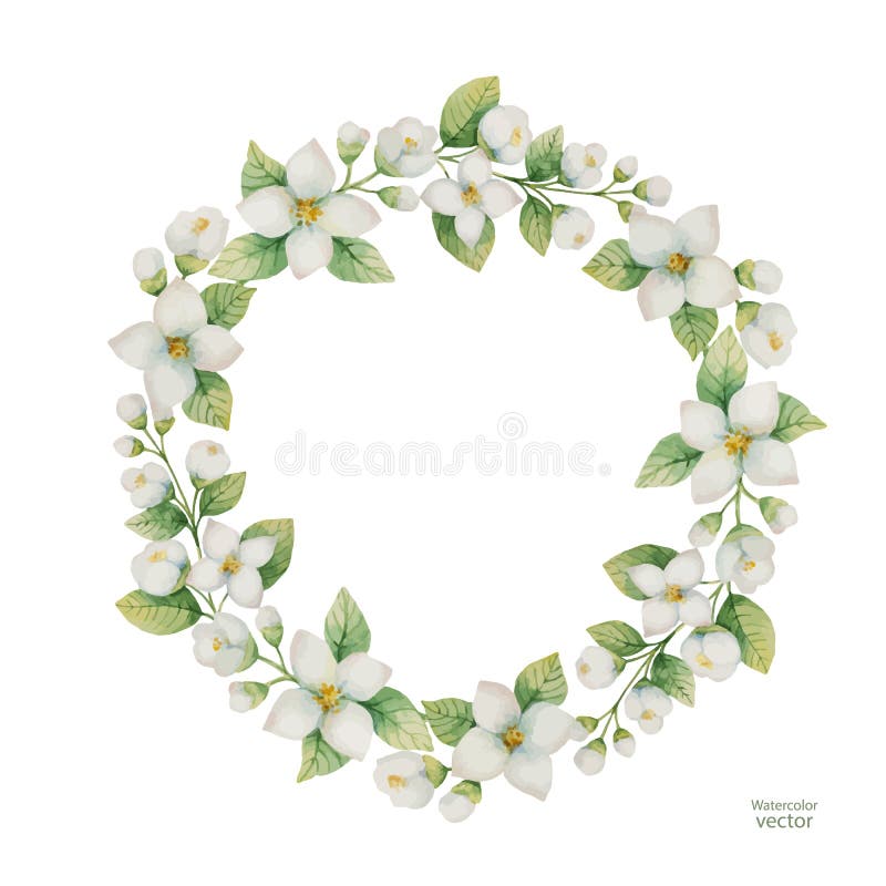 Vattenfärgvektorram av blommor och filialjasmin som isoleras på en vit bakgrund stock illustrationer Vattenfärgvektorram av blommor och filialjasmin som isoleras på en vit bakgrund stock illustrationer