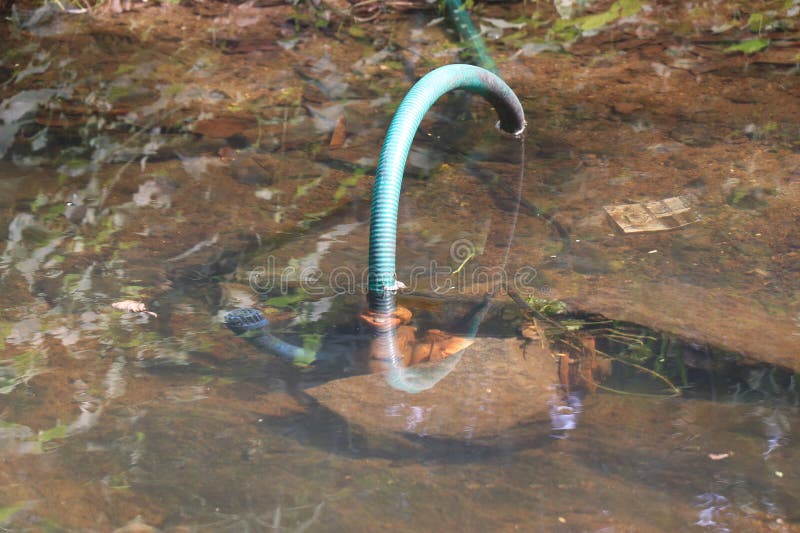 Vattenpump på en liten damm med rent vatten. Rustig vattenpump i vatten royaltyfri fotografi