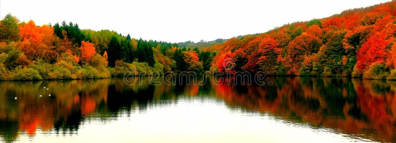 Vattenskärkta reflektioner i liggande höstvatten royaltyfri foto Vattenskärkta reflektioner i liggande höstvatten royaltyfri foto