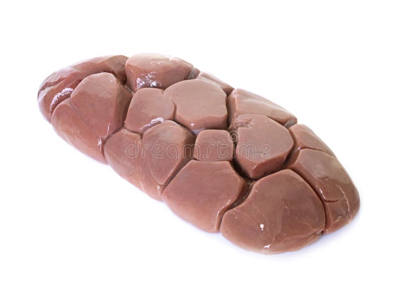 Raw Veal Kidney Stock Photos Free & RoyaltyFree Stock Photos from