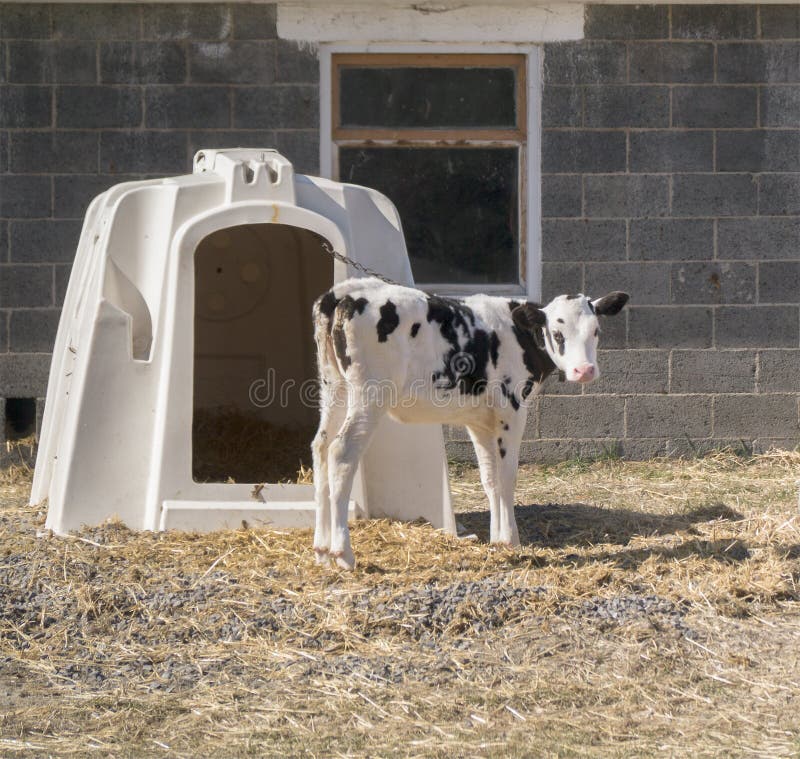 Couverture Végétale - NucleoCover - PVC - Imperméable - Résistant Au