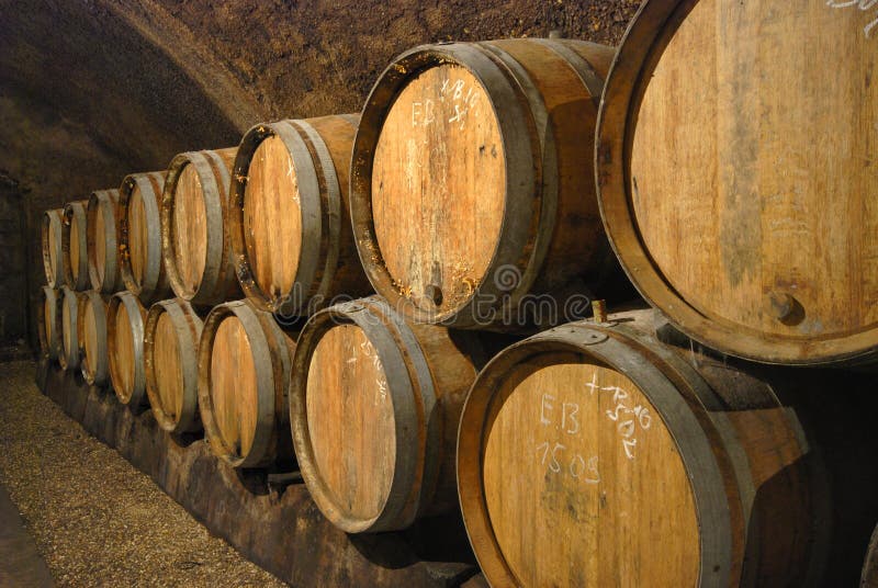 Vecchi barilotti in una caverna del vino fotografia stock Vecchi barilotti in una caverna del vino fotografia stock