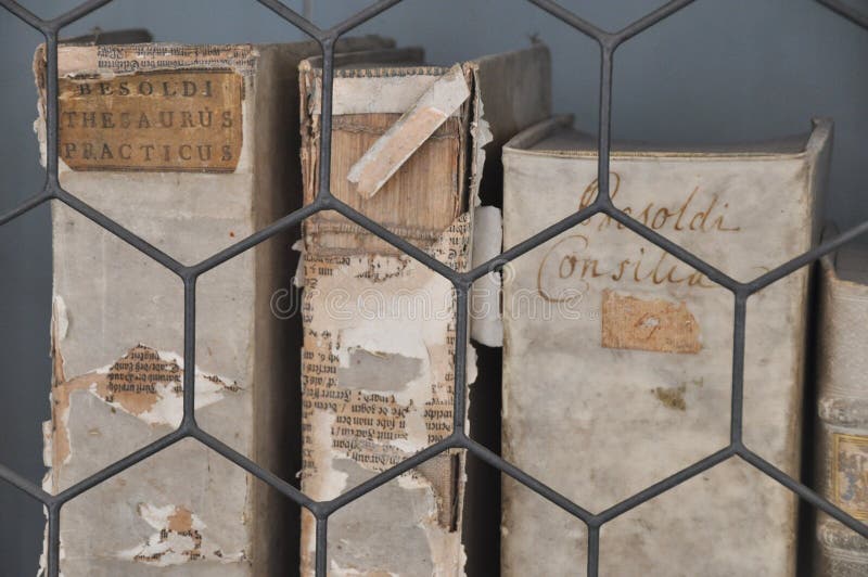 Old & precious books in an a monastry library behind a fence. Old & precious books in an a monastry library behind a fence