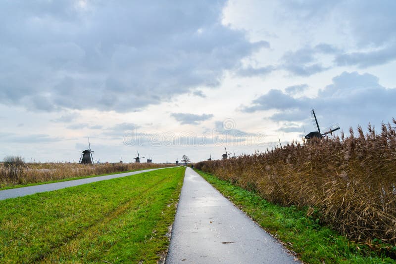 Vecchi mulini a vento in Kinderdijk ad alba, Olanda, Paesi Bassi, Eu immagini stock Vecchi mulini a vento in Kinderdijk ad alba, Olanda, Paesi Bassi, Eu immagini stock