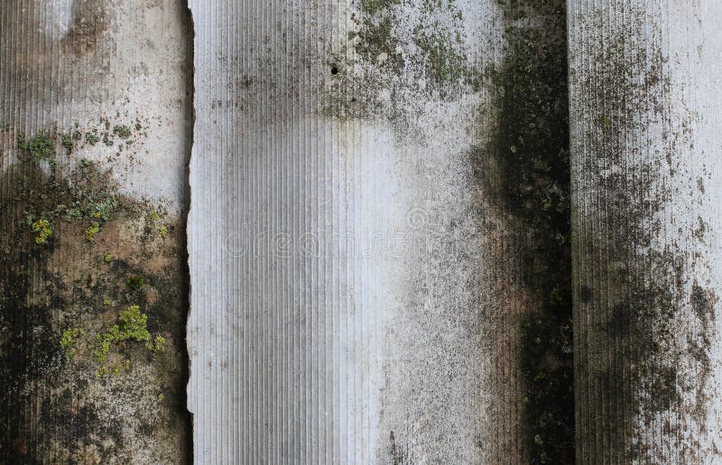 Vecchia ardesia coperta di muffa e di muschio immagini stock libere da diritti Vecchia ardesia coperta di muffa e di muschio immagini stock libere da diritti
