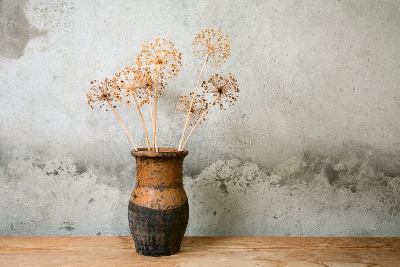Vecchia brocca con il fiore asciutto fotografia stock libera da diritti