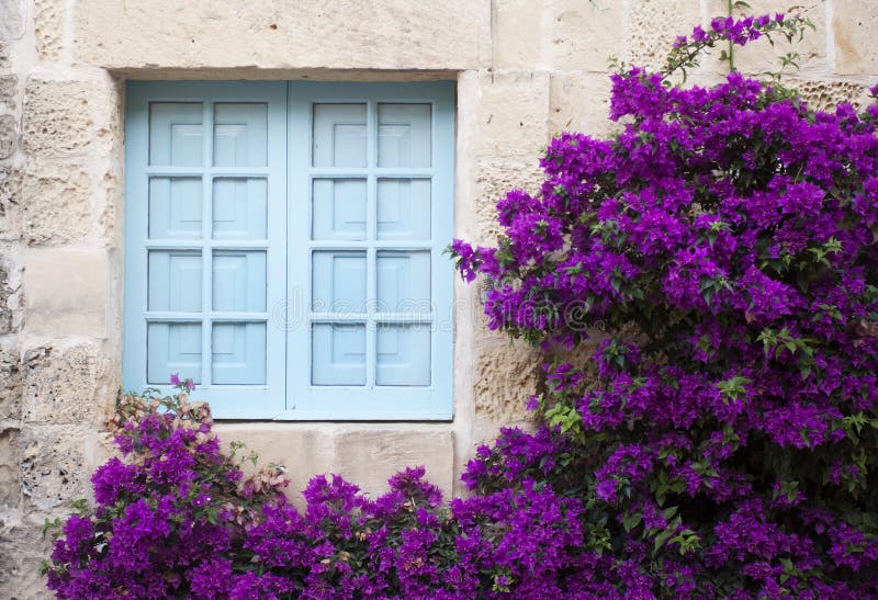 Vecchia facciata con la finestra blu ed i fiori porpora immagini stock libere da diritti Vecchia facciata con la finestra blu ed i fiori porpora immagini stock libere da diritti