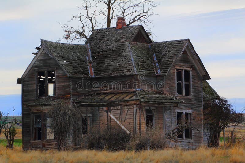 An old abandoned desolate frontier farmhouse, dead trees and prairie grasses. Shallow depth of field. An old abandoned desolate frontier farmhouse, dead trees and prairie grasses. Shallow depth of field.