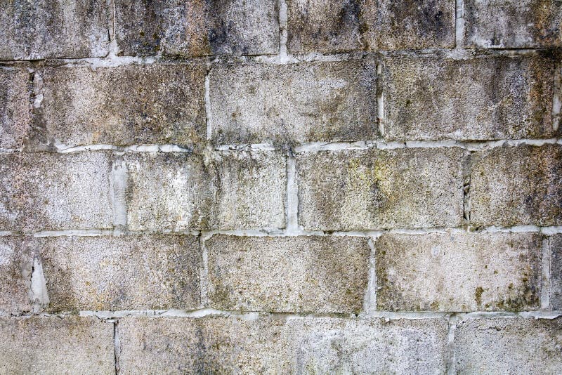 Vecchia parete del blocco in calcestruzzo fotografia stock Vecchia parete del blocco in calcestruzzo fotografia stock
