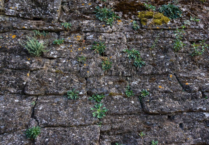 Vecchia parete di pietra immagine stock Vecchia parete di pietra immagine stock