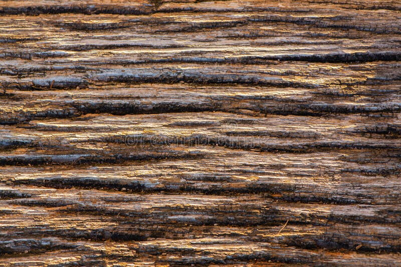 Vecchia struttura di legno favolosa, bella struttura immagine stock Vecchia struttura di legno favolosa, bella struttura immagine stock