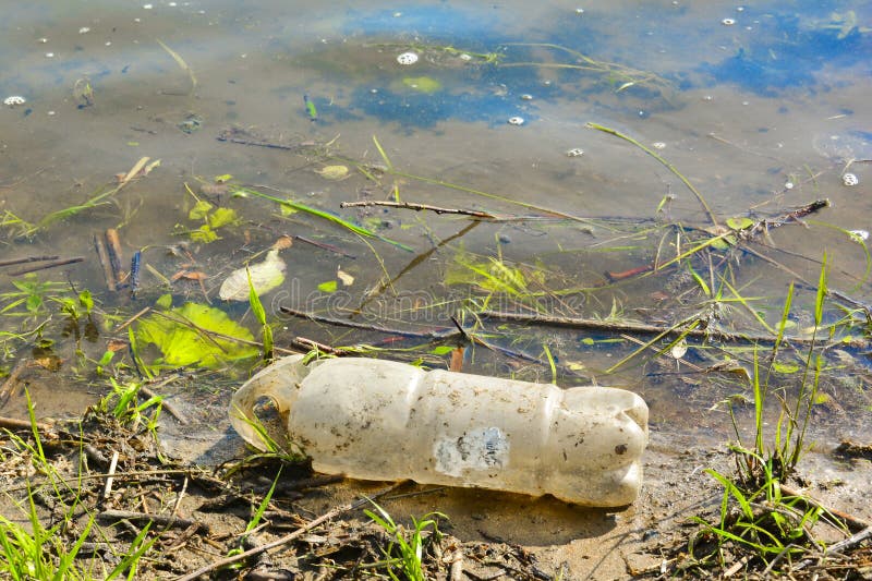 Vecchie bottiglie di plastica utilizzate sul fiume Banca inquinante del fiume Bottiglie e rifiuti di plastica in acqua progresso immagini stock Vecchie bottiglie di plastica utilizzate sul fiume Banca inquinante del fiume Bottiglie e rifiuti di plastica in acqua progresso immagini stock
