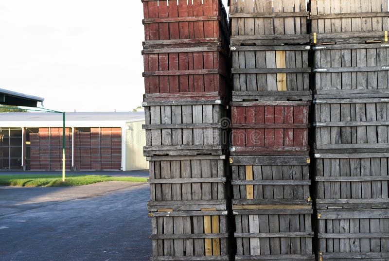 Cassette Della Frutta In Legno - Foto 3