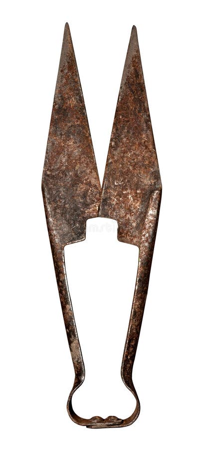 Forbici Per Pecore Kerbl A Forma Di Cuore | Lama 16 Cm | Per Tosatura E Giardinaggio - Foto 2